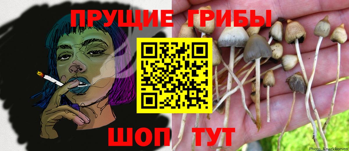 Галлюциногенные грибы Cubensis  Вход с VPN  Майский  Псилоцибиновые грибы MAGIC MUSHROOMS 