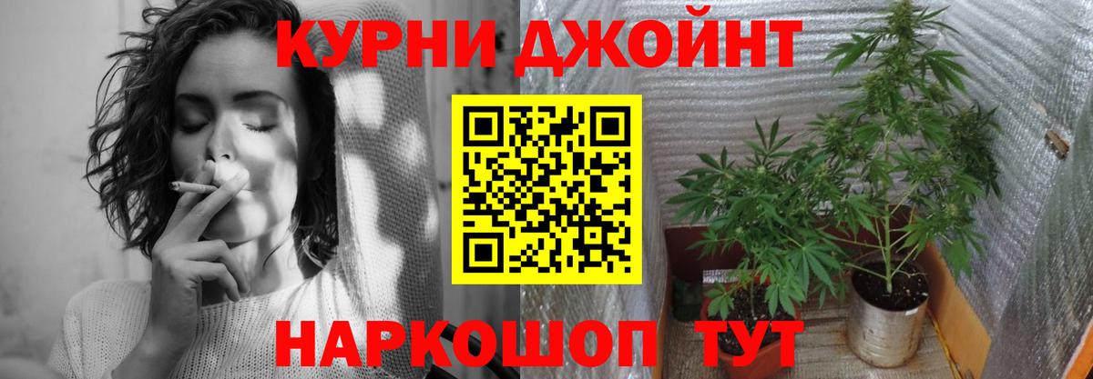 Конопля SATIVA & INDICA Майский